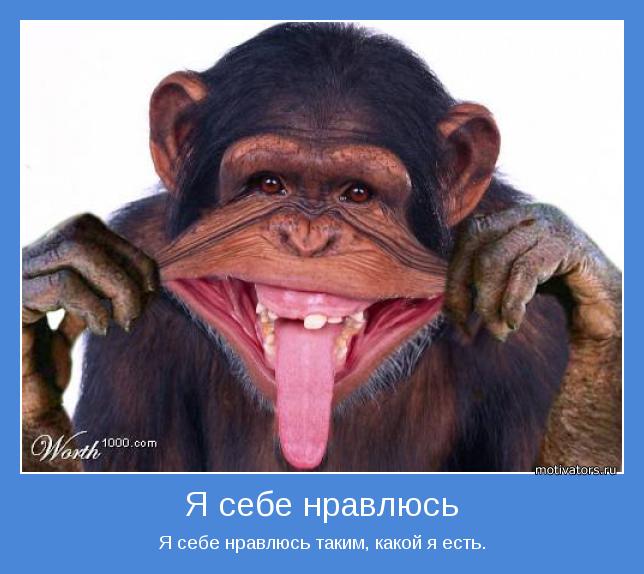 Смешные сценки для поздравления с днем рождения женщине Смешные сценки для поздравления с днем рождения женщине