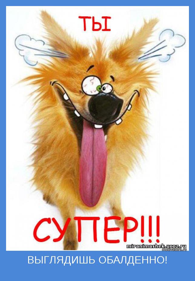 Qip 2005 Скачать На Комп Qip 2005 Скачать На Комп