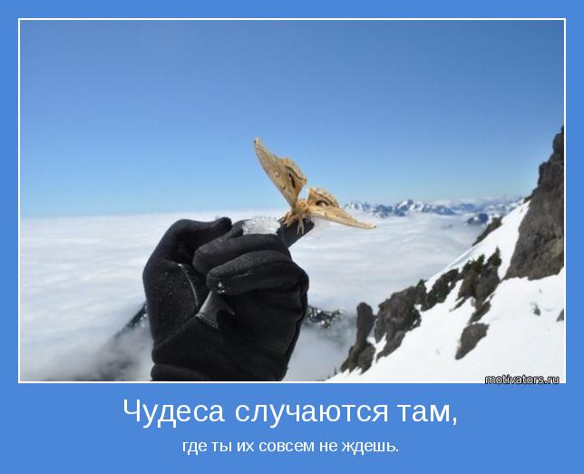 http://www.motivators.ru/sites/default/files/imagecache/main-motivator/motivator-43902.jpg