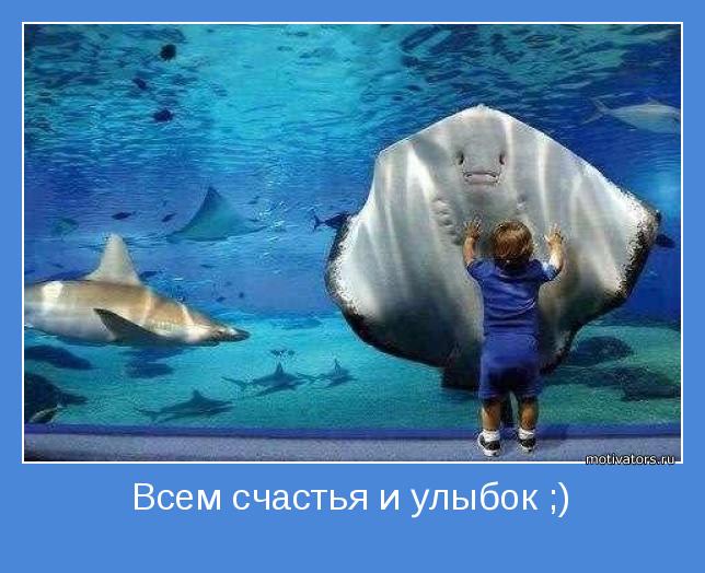 торт баунти